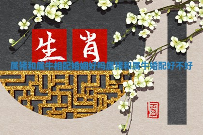 属猪和属牛相配婚姻好吗_属猪和 ➿ 属牛婚 ? 配好不好
