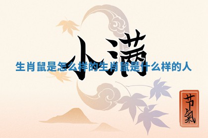 生肖鼠是怎么样 ? 的 生肖鼠是什么样的人 ?